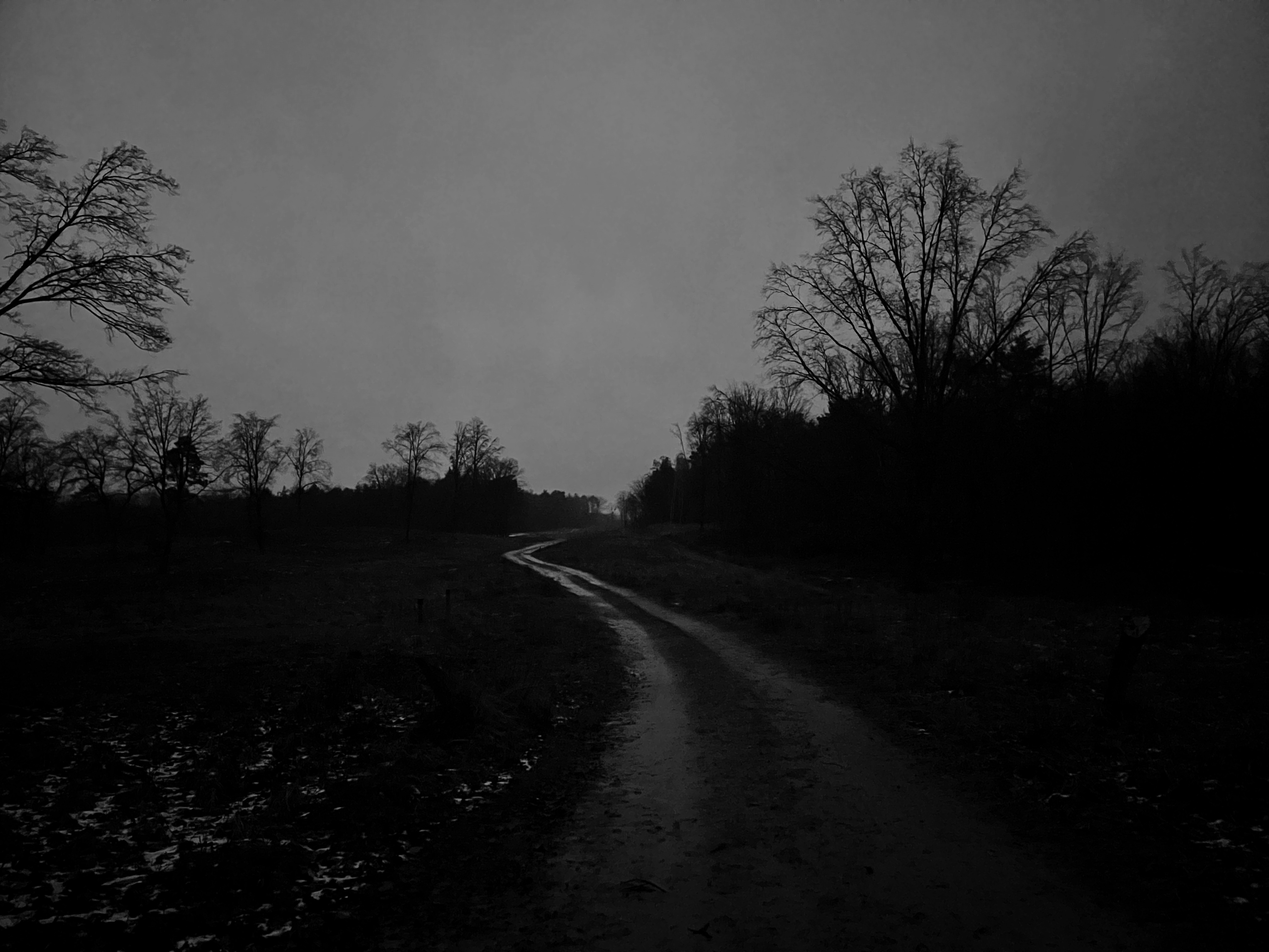 A muddy road winding through the woods. It’s very dark, the trees are only seen as black outline against a cloudy sky.