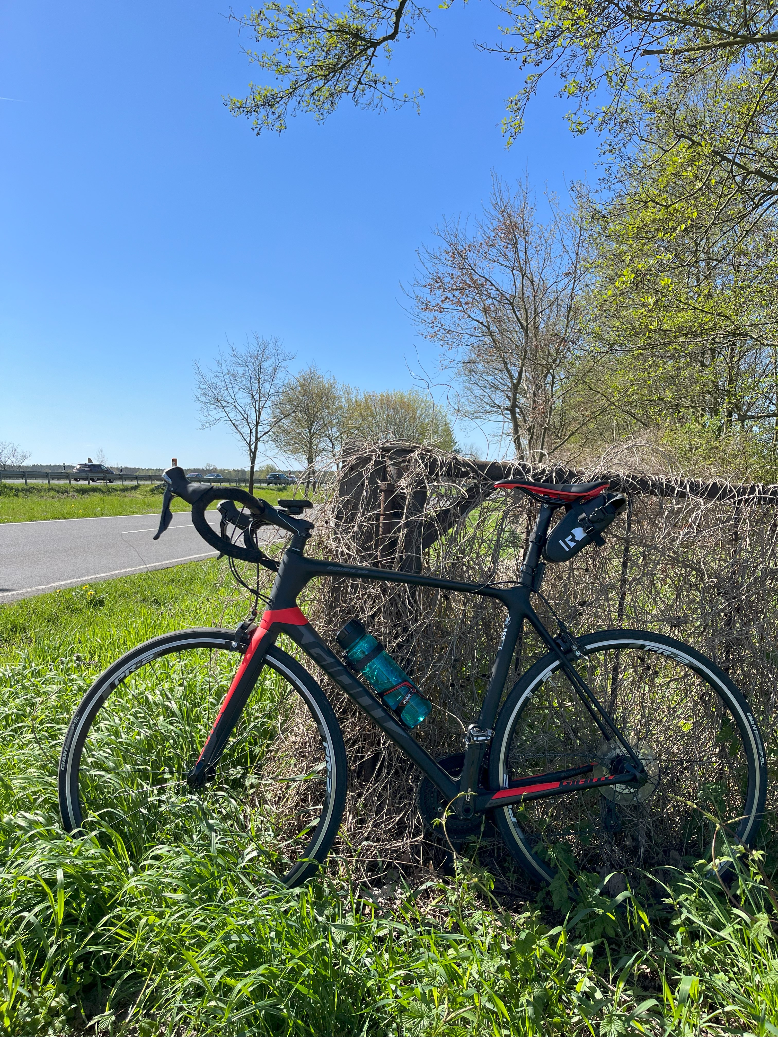 My road bike taking a break in the sun after months in the shed.